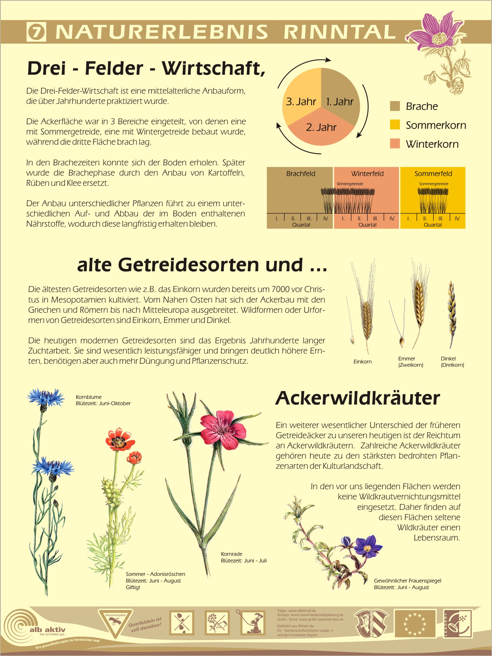 Tafel 07 - Dreifelderwirtschaft