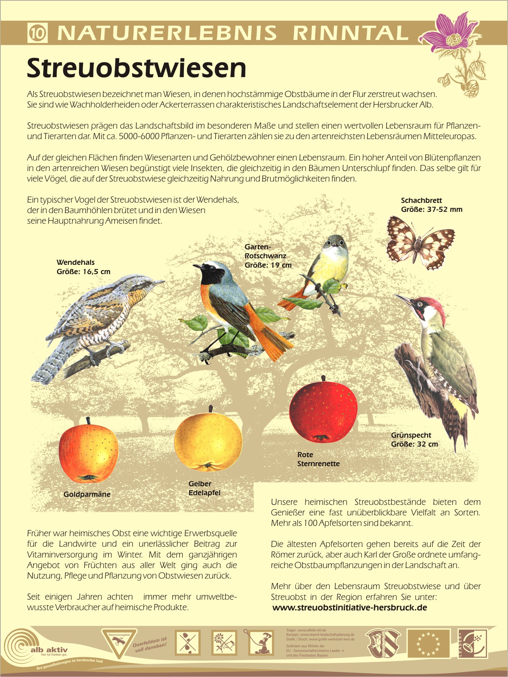 Tafel 10 - Streuobstwiese