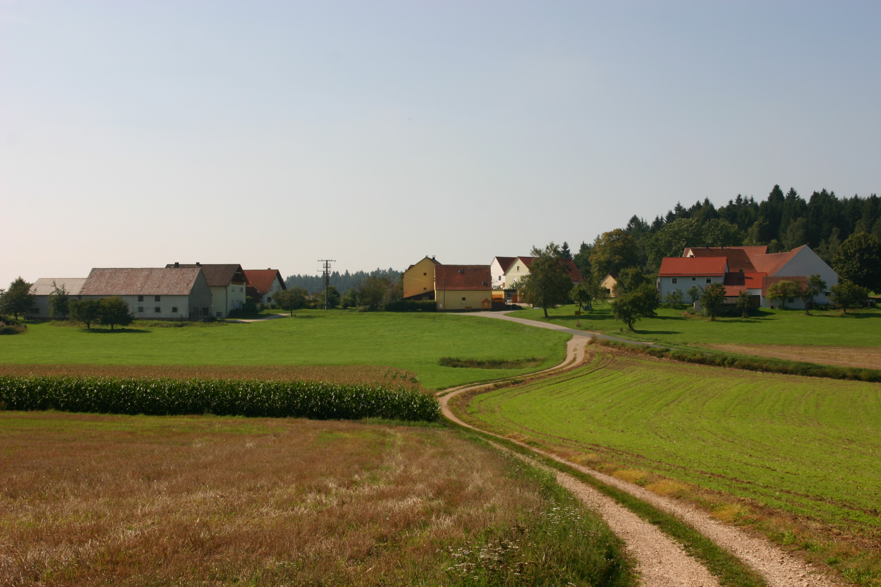 Wettersberg_WFischer_08.JPG