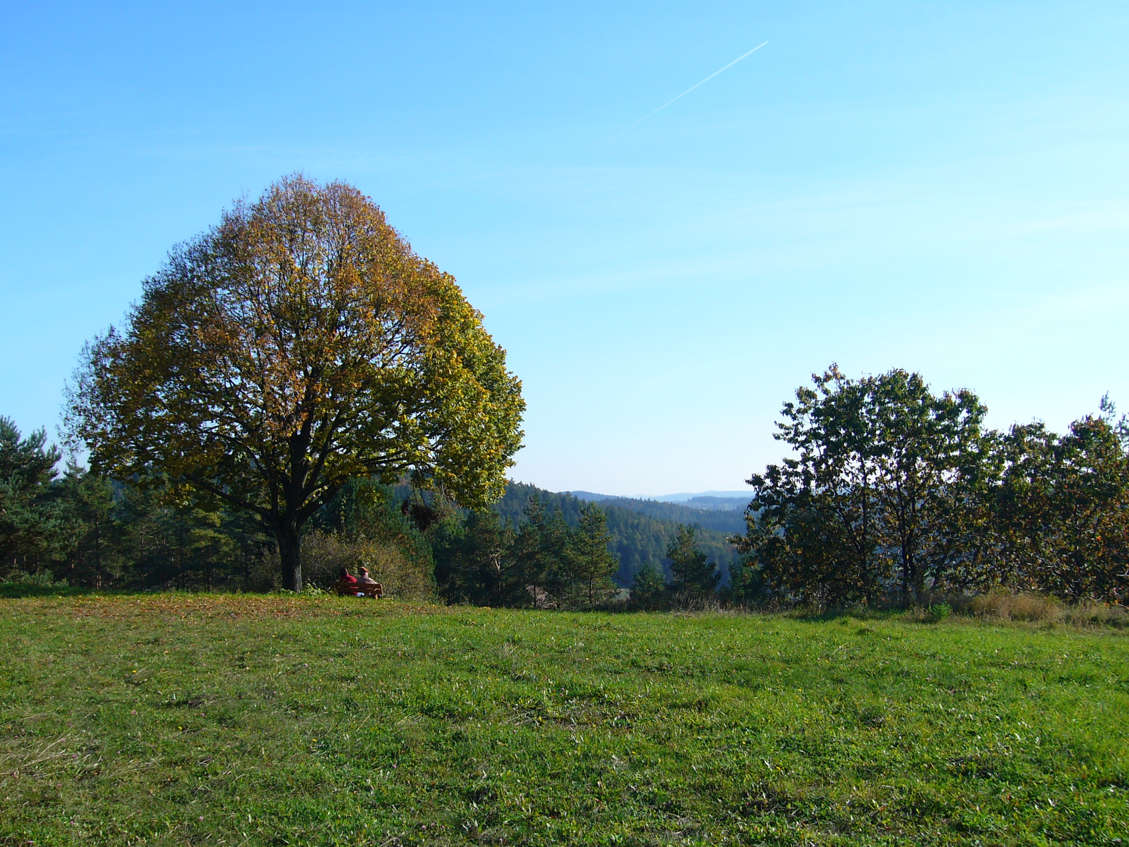 Wettersberg_WFischer_10.JPG