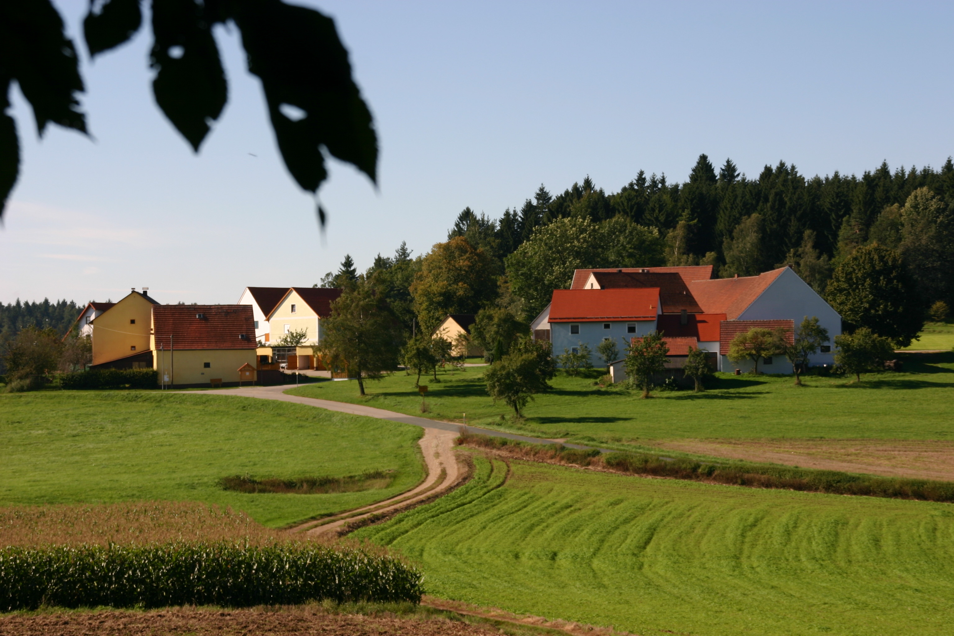 Wettersberg_WFischer_02.JPEG