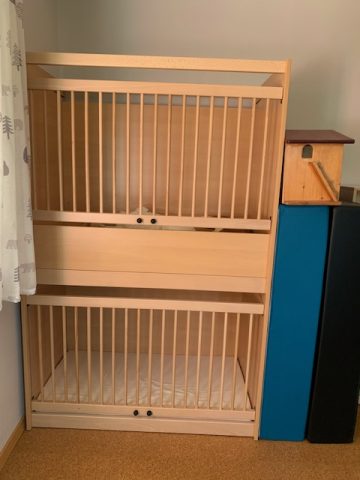 Renovierter Gruppenraum Haus für Kinder Bild 3