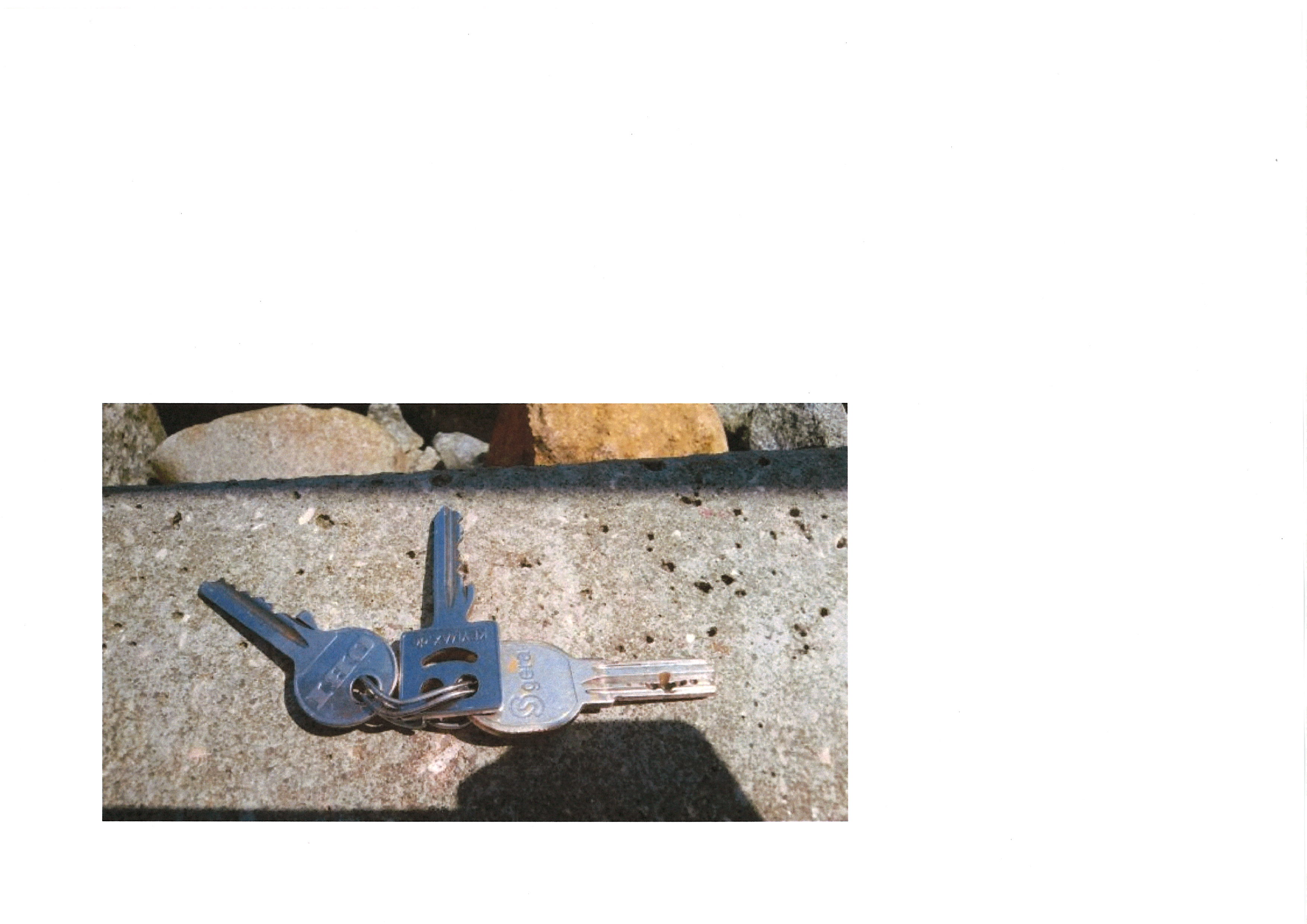 Leider haben wir keinen Alternativtext zu diesem Bild, aber wir arbeiten daran.